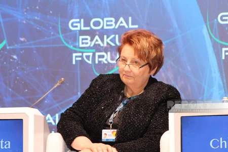 X Qlobal Bakı Forumunda miqrasiya məsələsi ilə bağlı müzakirələr keçirilib