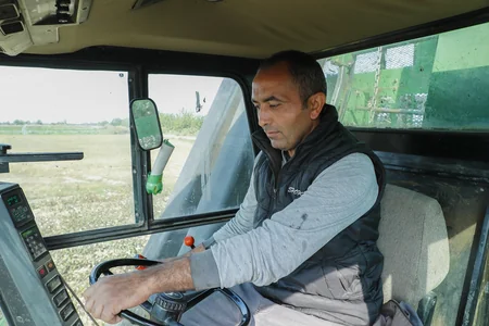 Azərbaycanda bu günə qədər 150 min tona yaxın pambıq yığılıb