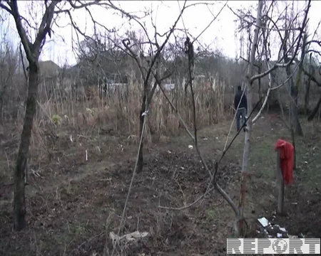 Tovuzda 43 yaşlı kişini it dişləyib