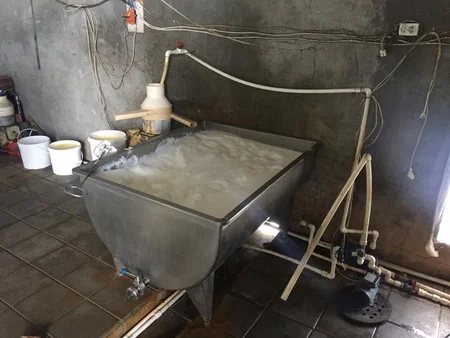 Masallıda qanunsuz pendir sexi aşkarlanıb - FOTO