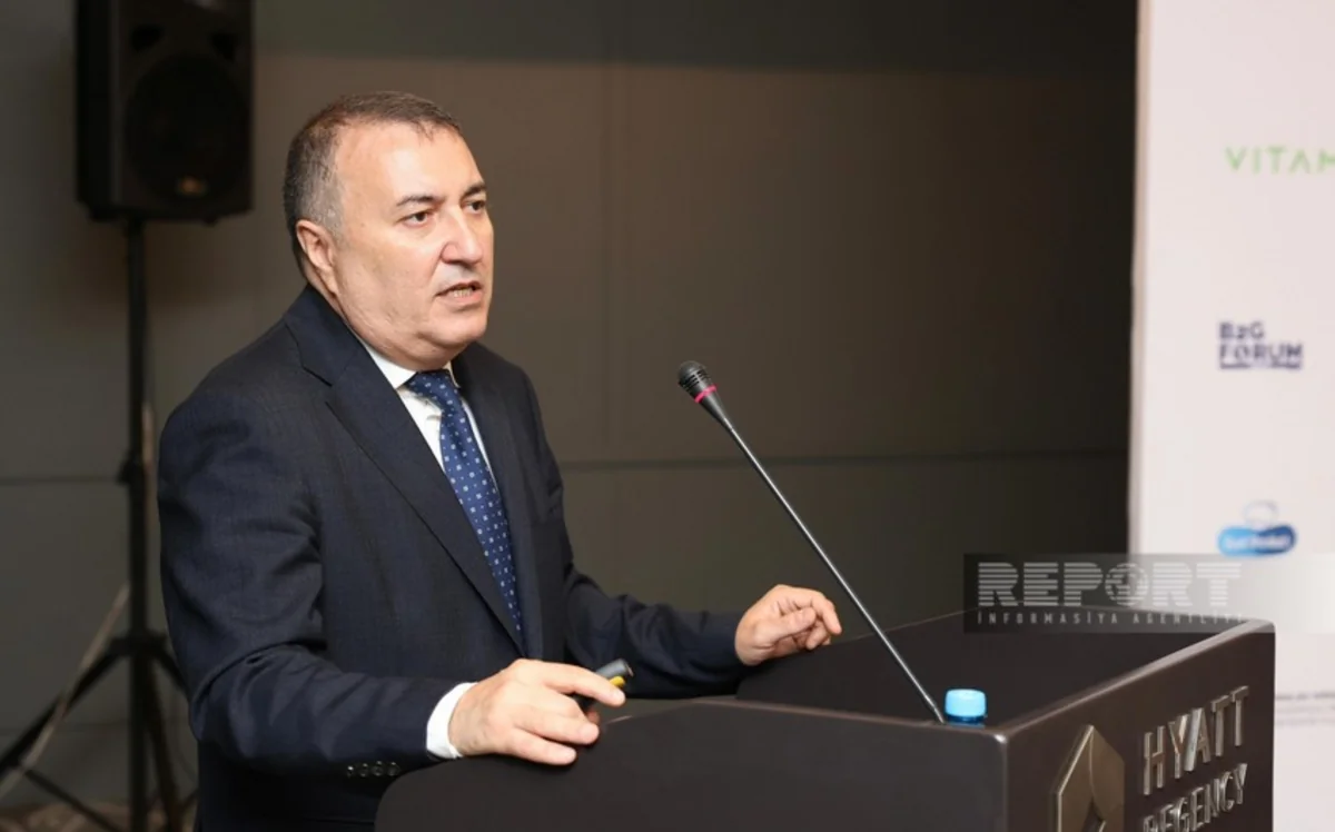 Azərbaycanda daşınmaz əmlakın e-reyestri və kadastrı informasiya sisteminin istifadəyə veriləcəyi tarix açıqlanıb