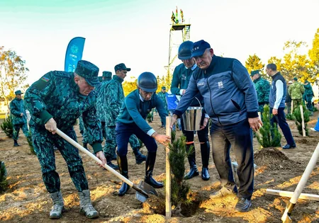 Zəfər Günü və “Yaşıl dünya naminə həmrəylik ili” ilə bağlı  iki mindən çox Eldar şamı əkilib