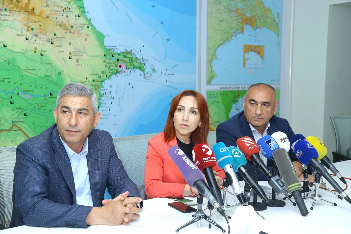 Azərbaycanda yararlı çimərliklərin işarələnməsi təklif olunur