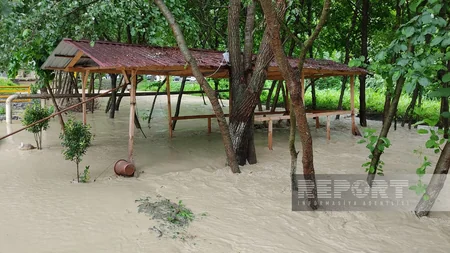 Qaxda leysan olub, çay daşıb, restoran və evlərin həyətlərini su basıb