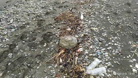 Lənkəranda 9 tank minası tapılıb