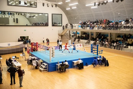 Boks üzrə Azərbaycan birinciliyinə yekun vurulub