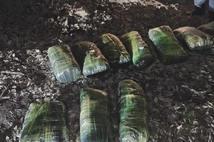 Balakəndə 33 kiloqram narkotikin satışının qarşısı alınıb