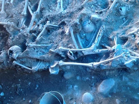 Gürcüstanda kütləvi məzarlıq aşkar olunub - FOTO