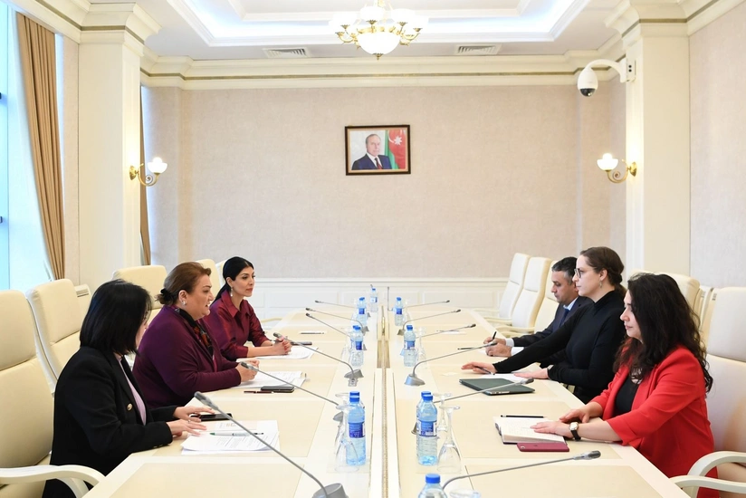 BMT Əhali Fondunun qiymətləndirmə qrupu Milli Məclisdə olub