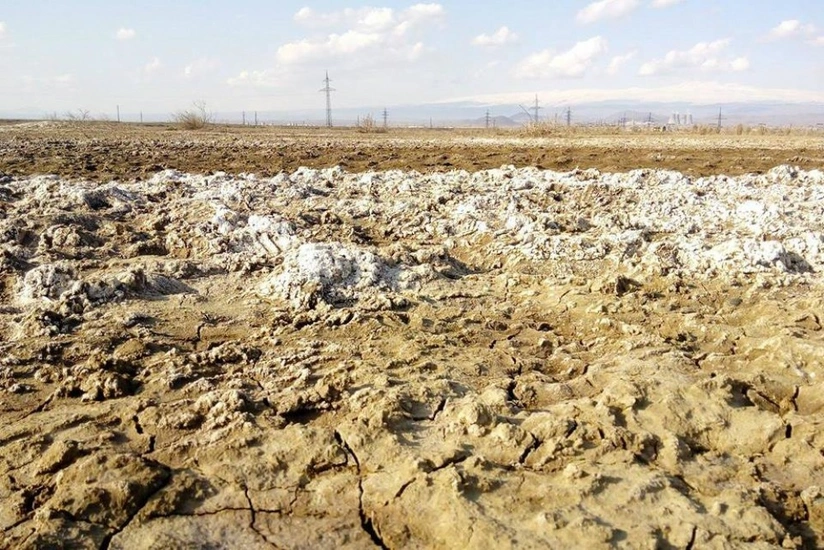 Ötən il Azərbaycanda şoran torpaqların sahəsi 4 min hektardan çox azalıb
