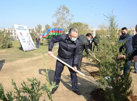 Bakıda Zəfər Günü münasibətilə ağacəkmə aksiyası keçirilib