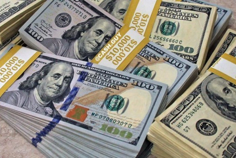 Банк России приостановил покупки доллара