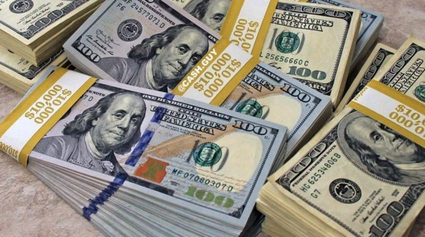 Rusiya Bankı dollar alışını dayandırdı