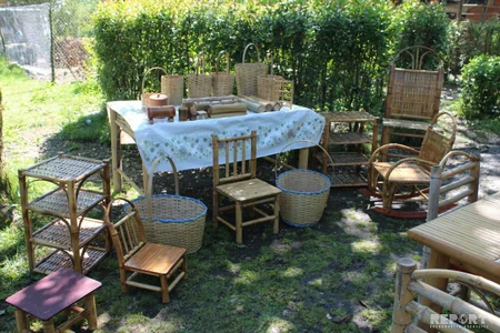 Çörəyi bambukdan çıxır - VİDEOREPORTAJ