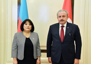 Сахиба Гафарова направила поздравительное письмо главе парламента Турции
