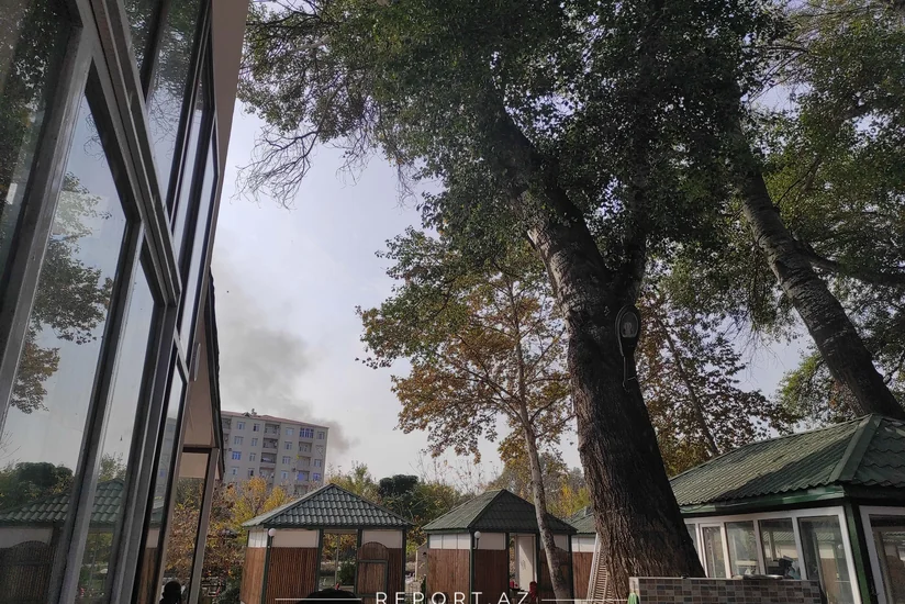 Bərdədə həlak olanlardan biri FHN-in əməkdaşıdır