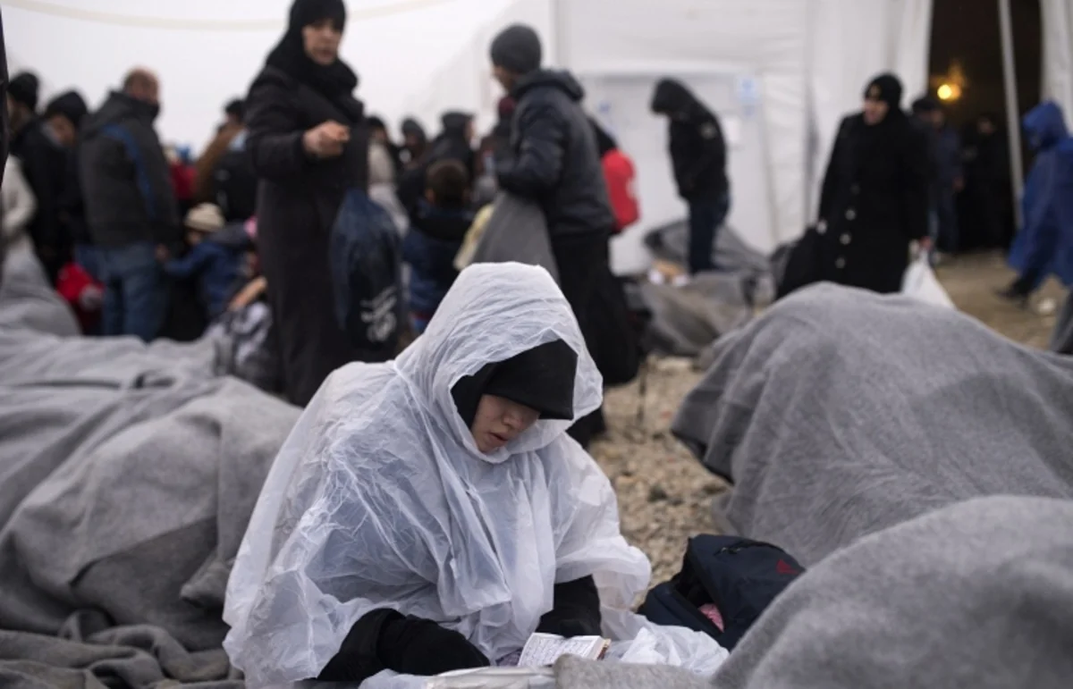 ​BMT: Dünyada mühacirlərin sayı 244 mln. nəfərə çatıb