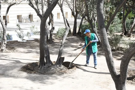 Bakıda növbəti ümumşəhər iməciliyi keçirilib, 551 küçə yuyulub - YENİLƏNİB