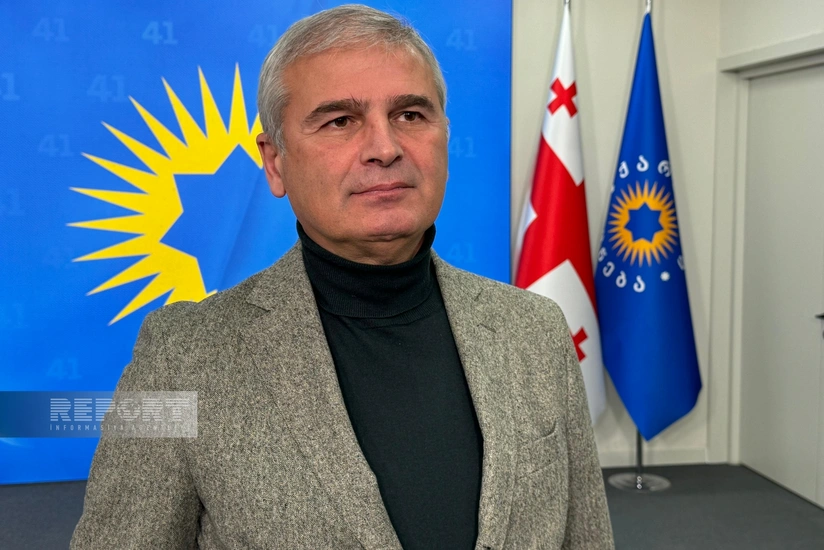 Председатель комитета парламента Грузии: Поддержка Азербайджана и президента Ильхама Алиева важна для нас