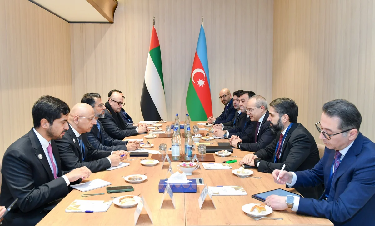 Azerbaijan explores investment opportunities in ‘green energy’ with UAE