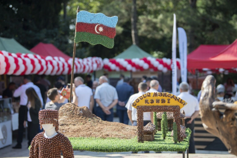 Zaqatalada fındıq festivalı keçirilir
