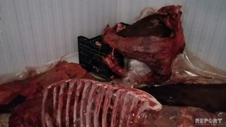 Bərdədə 110 kilo at əti satışının qarşısı alınıb - FOTO