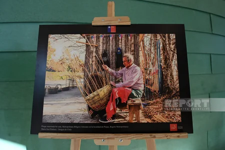 Bakıda Çiliyə həsr olunmuş fotosərginin açılışı olub
