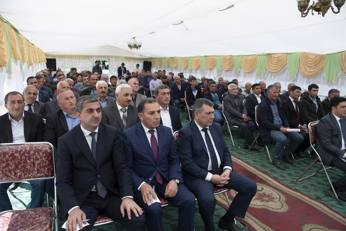 Qaxda fındıqçılıq sahəsi üzrə ilk kooperativ layihəsinin təqdimatı keçirilib