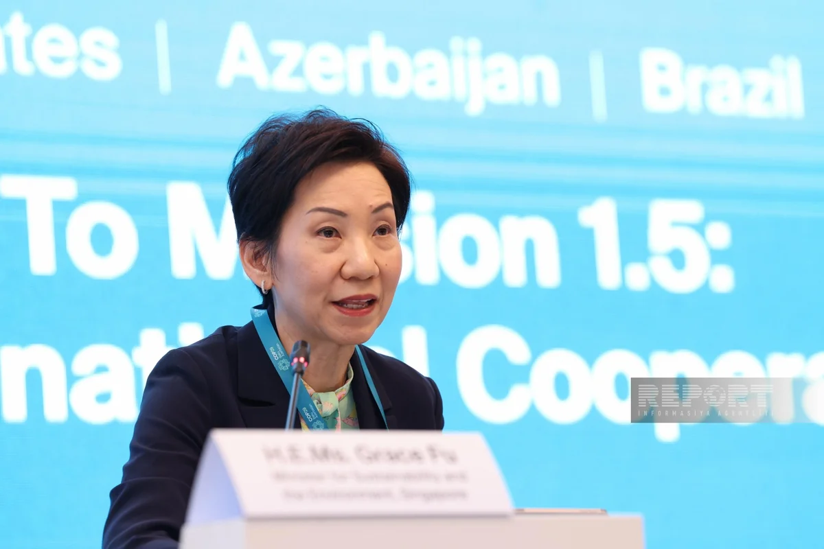Singaporean minister: Climate goals can only be achieved through international cooperation