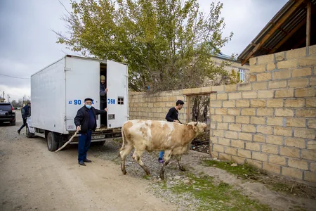 Daha bir qrup şəhid ailəsi və mülki şəxs üçün kiçik təsərrüfatlar yaradıldı