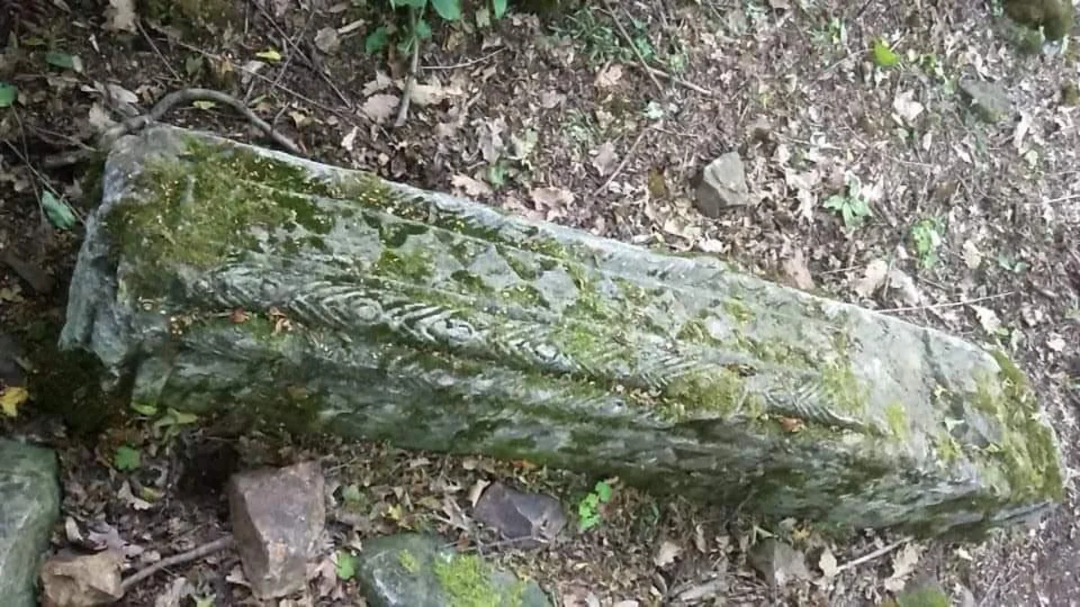 Azərbaycanlı gənc Gürcüstanda tarixi artefaktlar tapıb