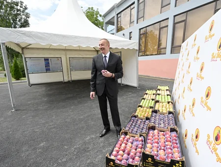 Dövlət başçısı Balakəndə “Bal meyvə” bağçılıq təsərrüfatı ilə tanış olub