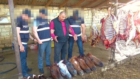 Ölü at ətini Bakıdakı iaşə obyektlərinə satan şəxslər həbs edildi - VİDEO