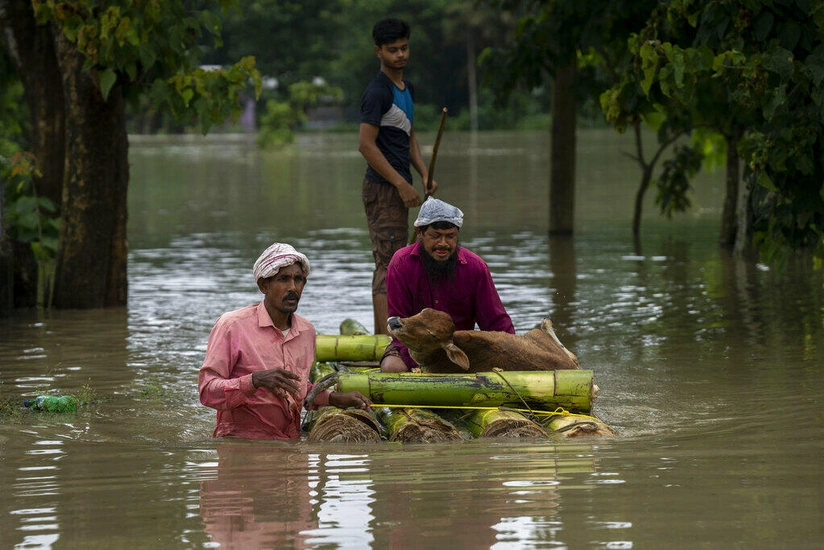 India's Assam flood: Death toll reaches 71