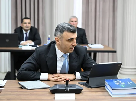 İqtisadi Şuranın növbəti iclasında aqrar sığorta sisteminin inkişafı ilə bağlı Fəaliyyət Planı müzakirə edilib