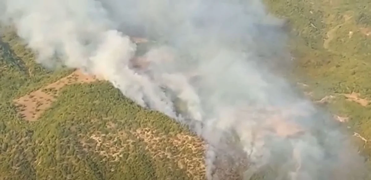 İsmayıllıda baş verən yanğın məhdudlaşdırılıb