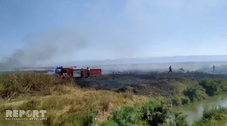 Cəlilabadda taxıl sahələrində baş vermiş yanğın söndürülüb - FOTO - YENİLƏNİB - VİDEO