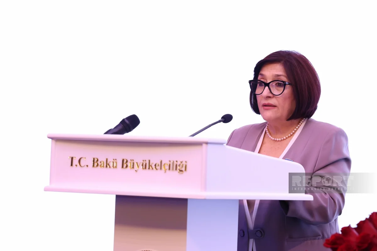 Sahibə Qafarova: Türkiyə ilə birgə layihələr regionda sülhə və sabitliyə xidmət edir
