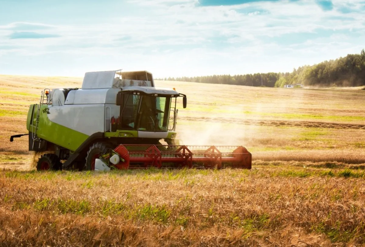 На проекты по производству зерна в Азербайджане выделено 71 млн долларов