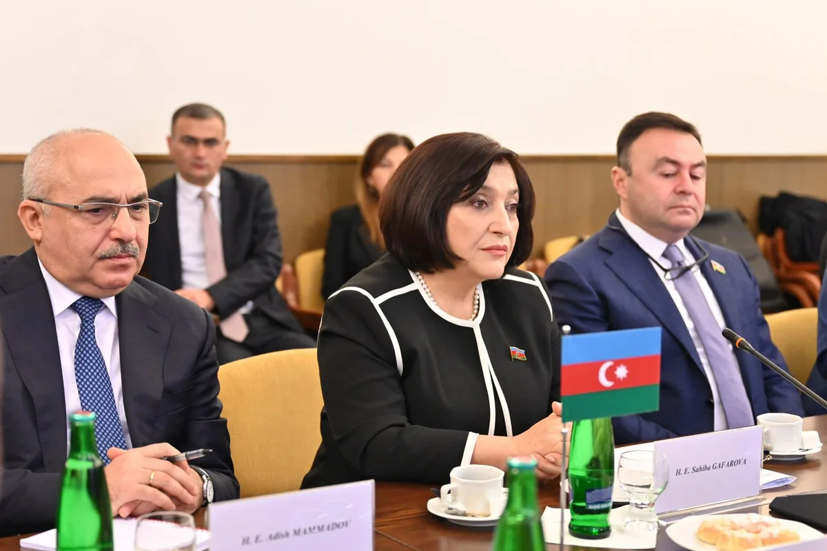 Sahiba Gafarova informs Czech MPs about Azerbaijan's peace initiatives