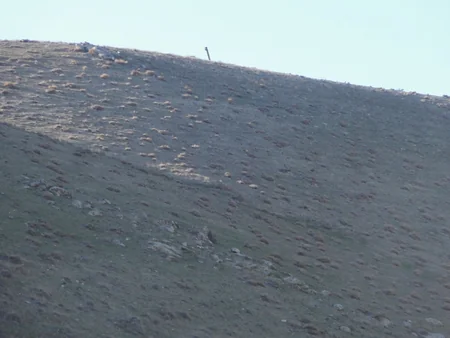 Xızıda 132 ədəd partlamamış hərbi sursat aşkar edilib