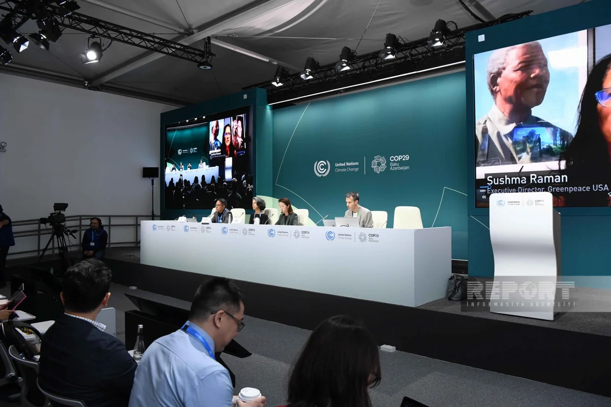 COP29: Greenpeace calls for fulfillment of all Paris Agreement obligations