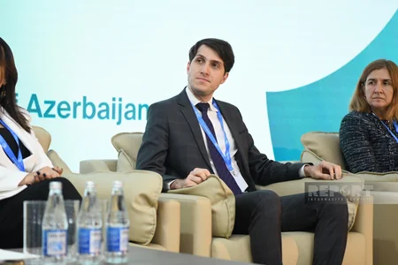 COP29-da turizmdə iqlim fəaliyyətinin gücləndirilməsi istiqamətində tədbir keçirilib
