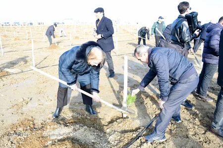Tree-planting campaign held on 30th anniversary of New Azerbaijan Party