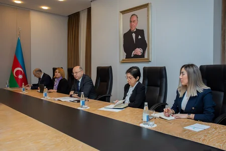 Azerbaijan, UN hold discussions on green energy transition