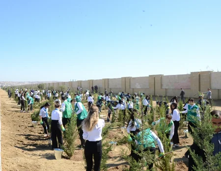 Bakıda Anım Gününə həsr edilən ağacəkmə aksiyası keçirilib