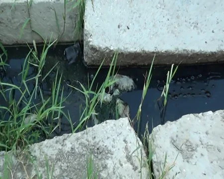 Kürdəmirin mərkəzində antisanitariya: sakinlər kanalizasiya probleminin həllini gözləyir - REPORTAJ