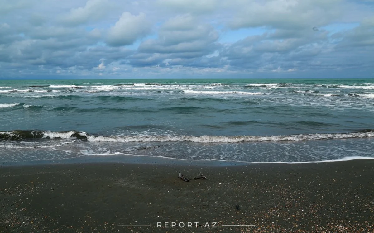 State Agency head: 14 foreign companies involved in desalination of sea water