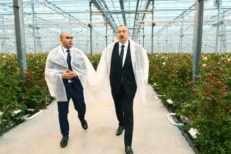 Prezident Qəbələdə gülçülük istixanası ilə tanış olub - YENİLƏNİB
