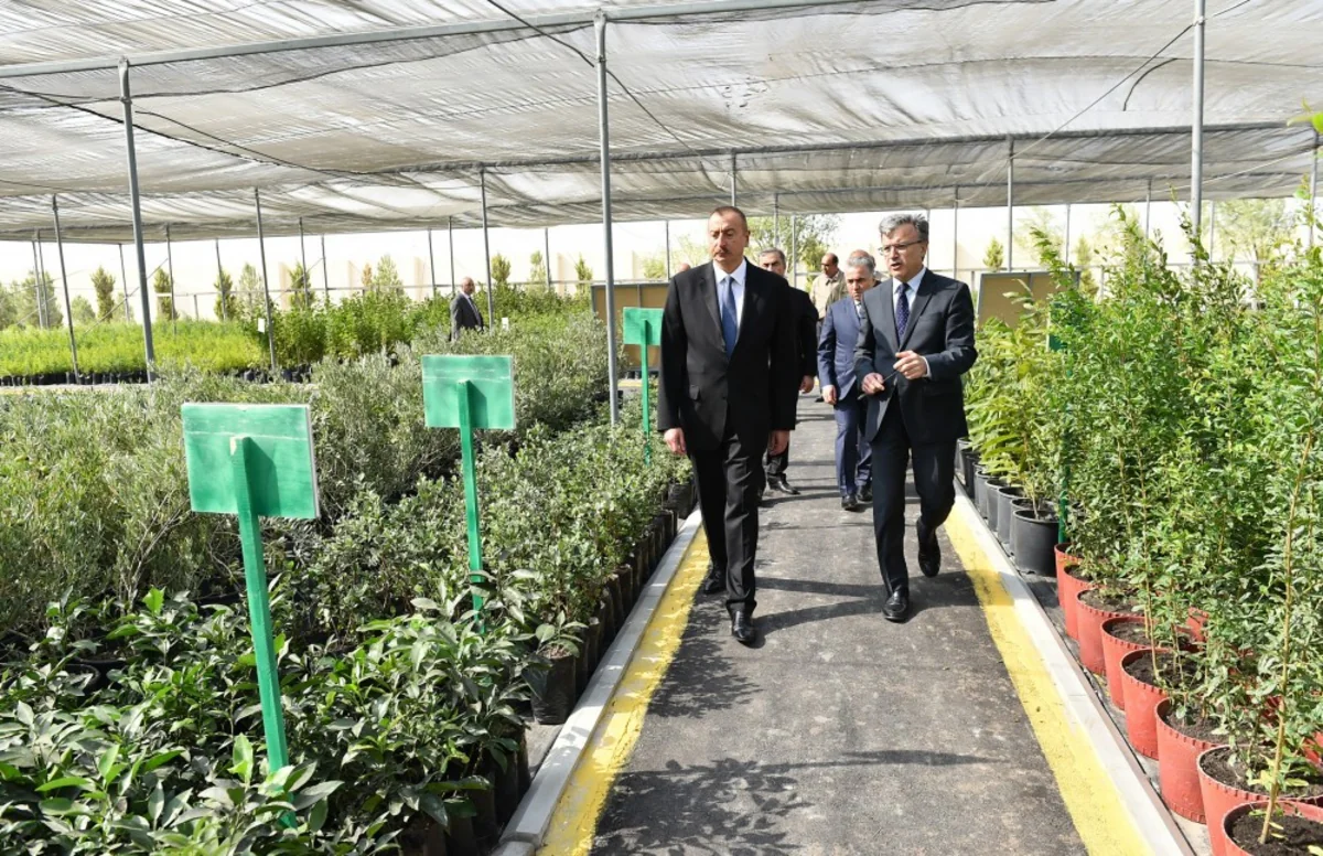 Prezident Salyanın Xıdırlı kəndində dəniz suyunun duzsuzlaşdırılması kompleksinin fəaliyyəti ilə tanış olub